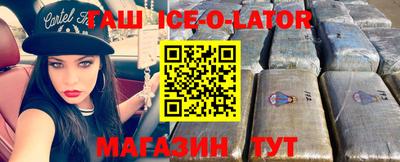дурь Бердск